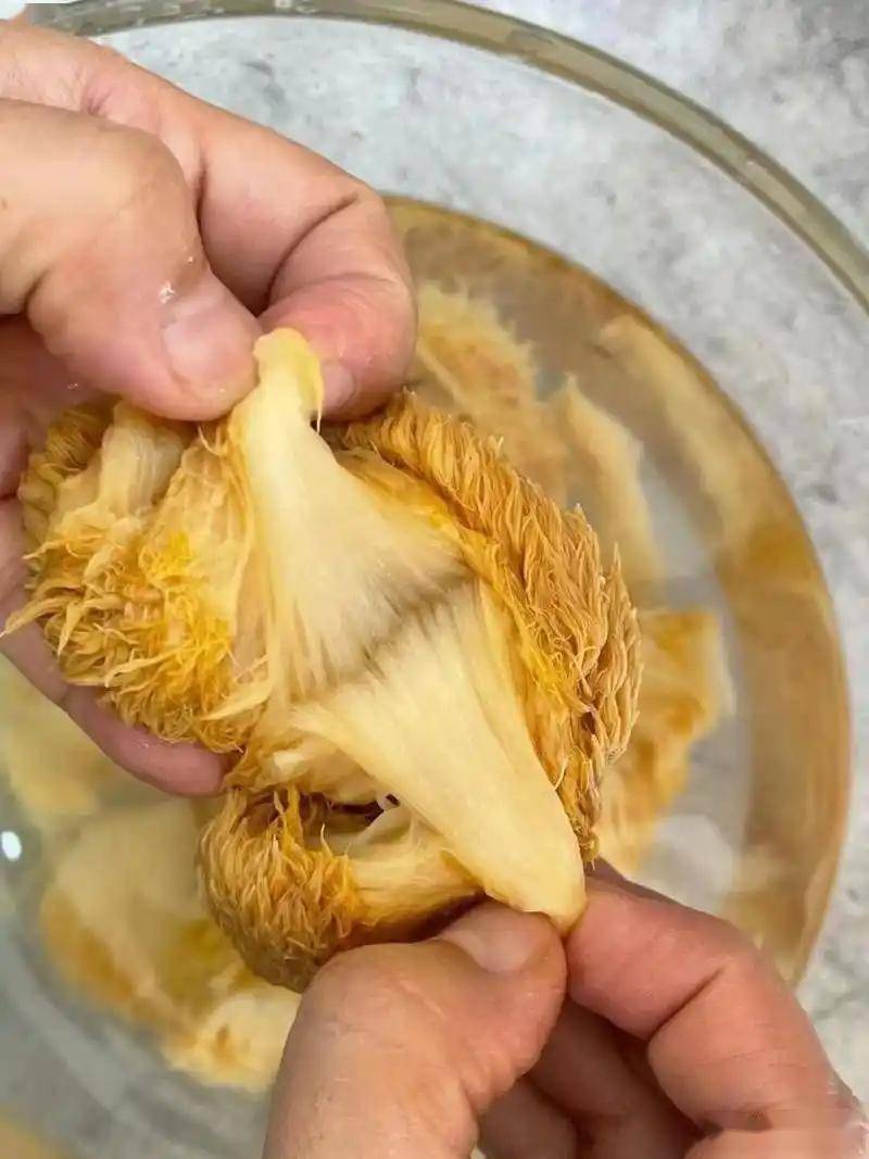 干猴头菇怎么泡发最好