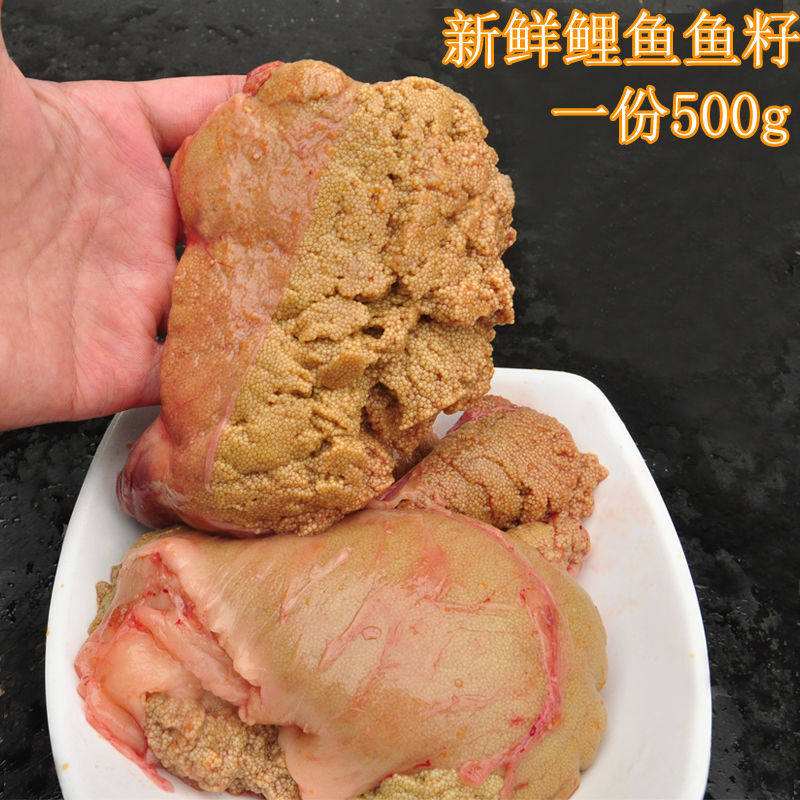 鱼籽是鱼的什么东西介绍