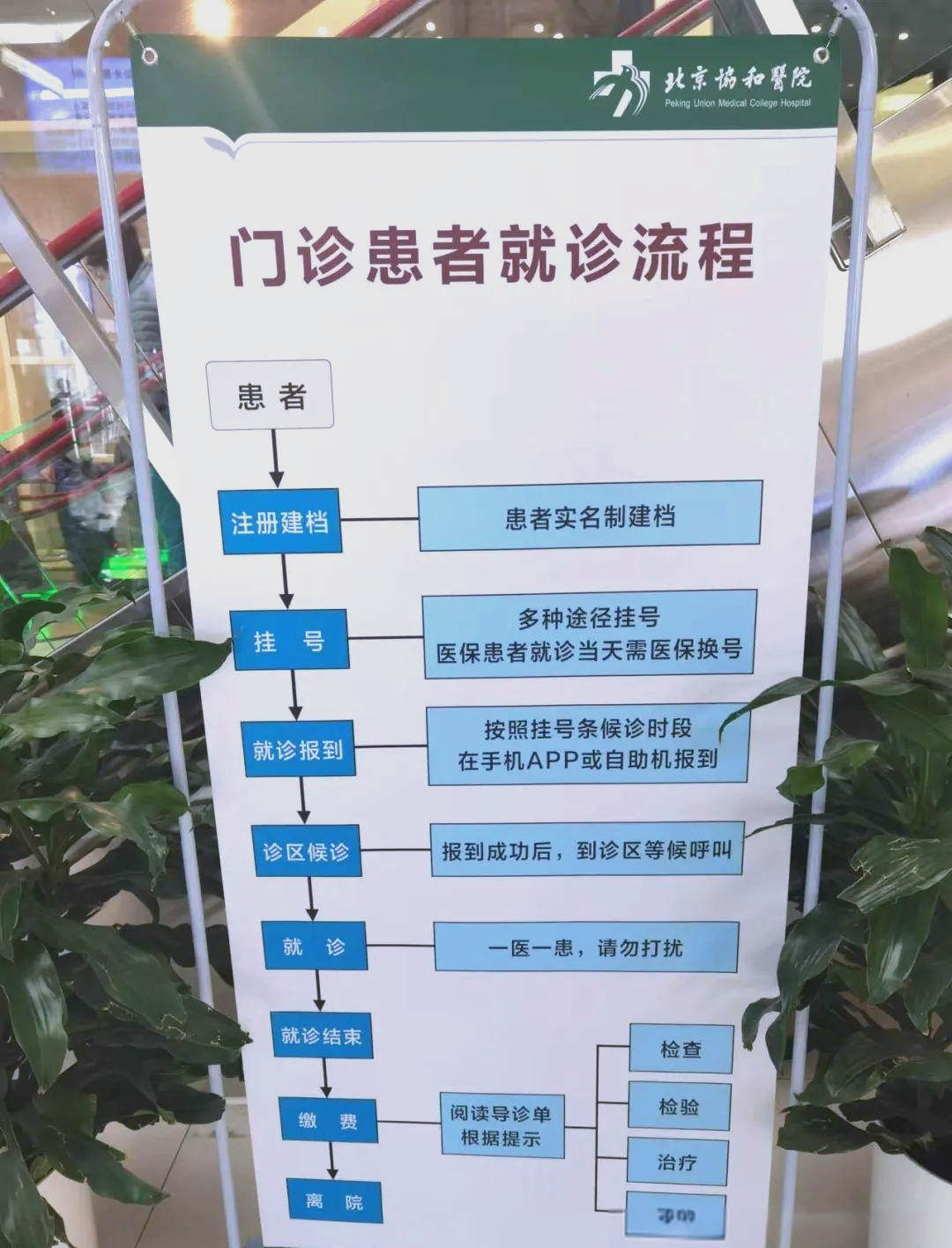 这协和医院挂号就这么难吗?