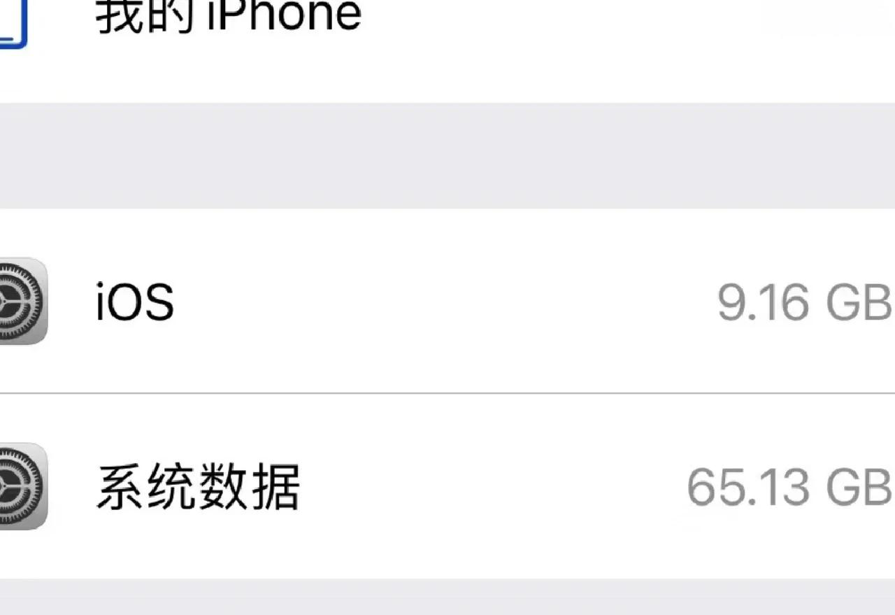 怎样清理苹果手机系统内存