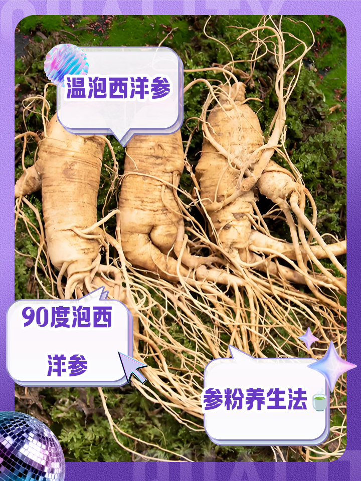 洋参的功效和作用是有哪些