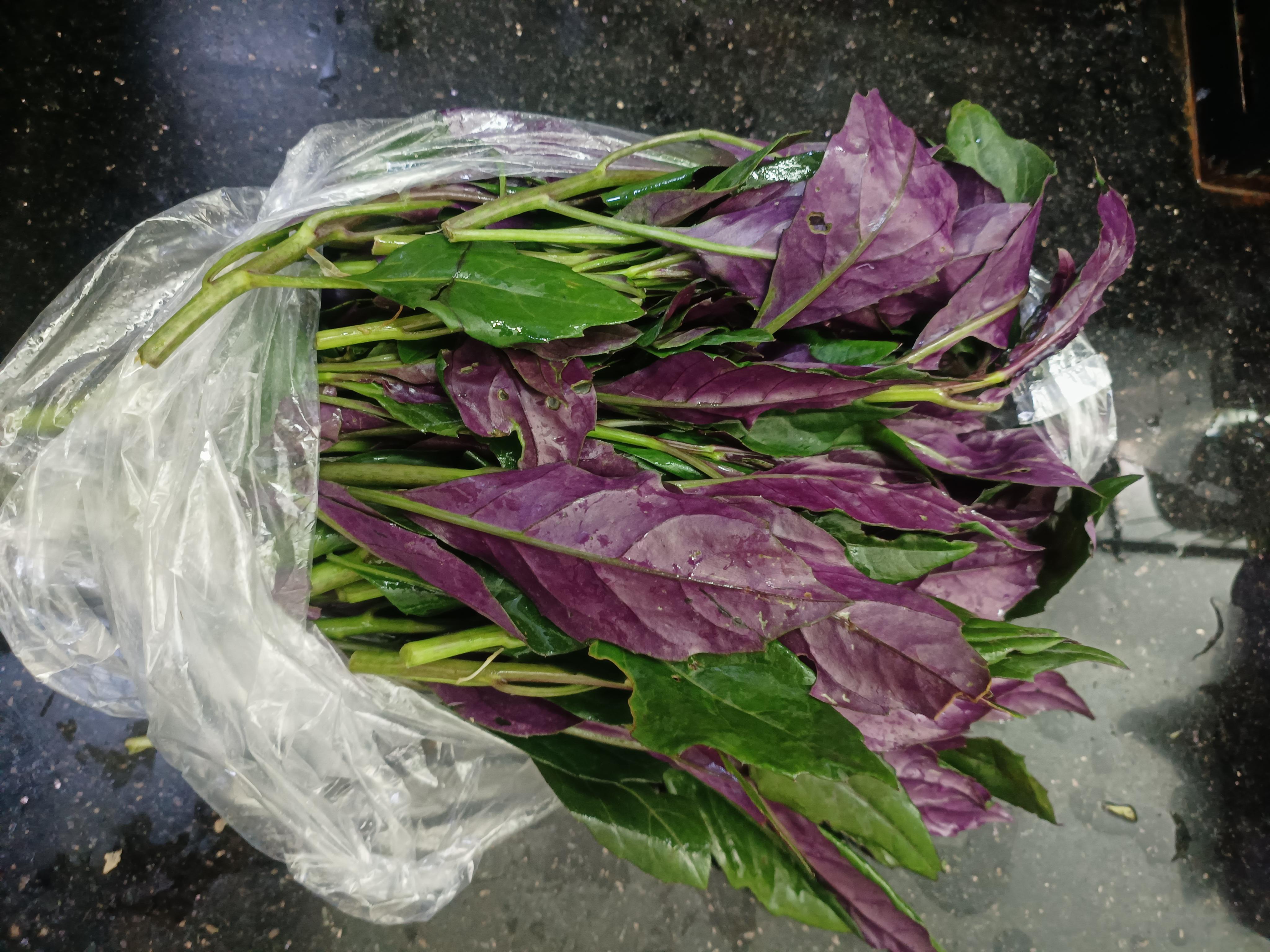 紫背菜什么人不能吃功效与作用有哪些