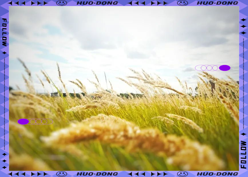 女人梦见刮狂风是什么意思