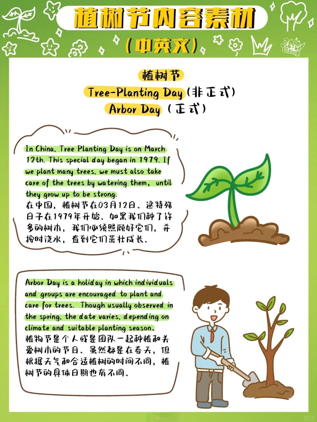 植树的过程有哪些步骤