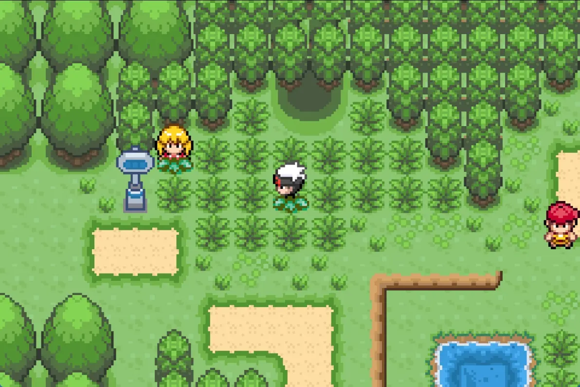 口袋绿宝石打各努力值的地方77