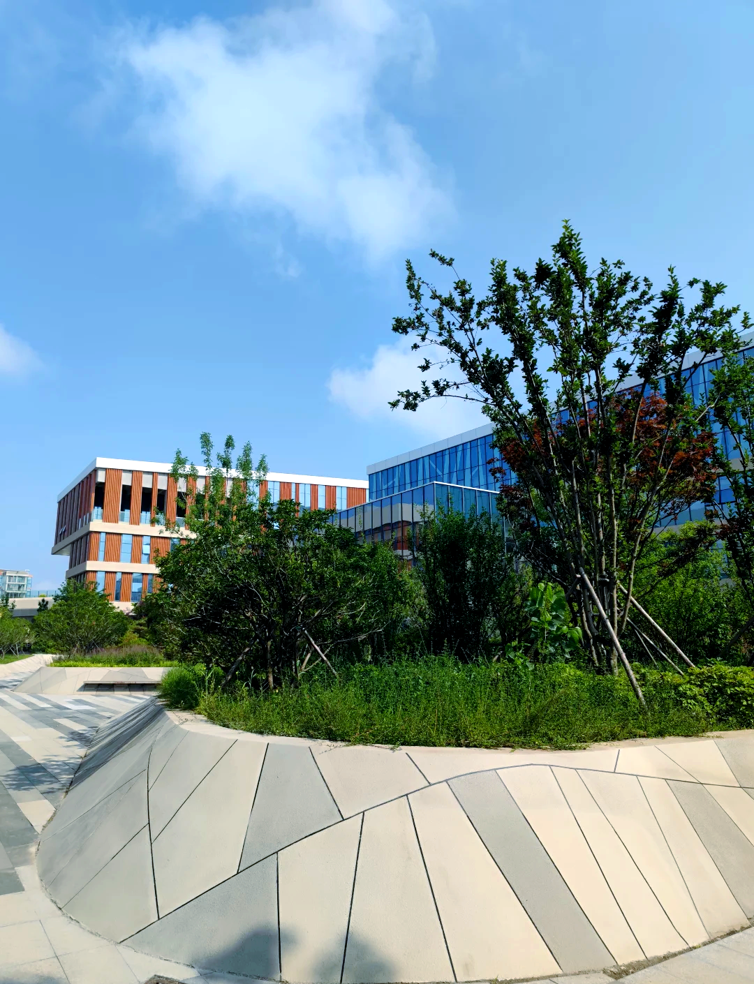 有康复专业的研究生学校