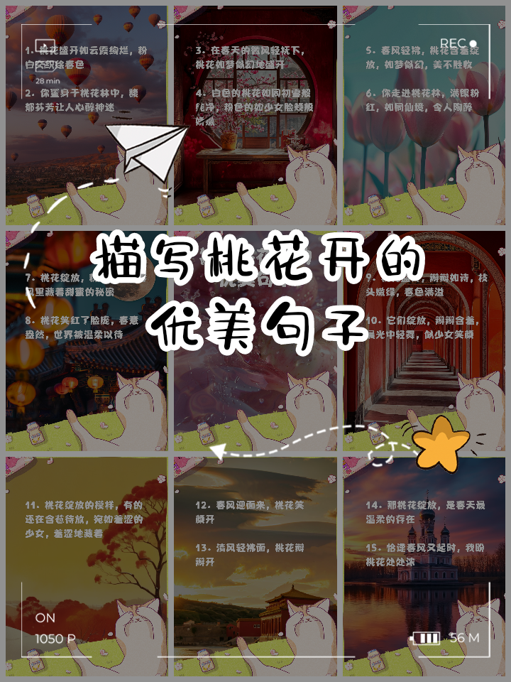 描写春天桃花盛开的句子