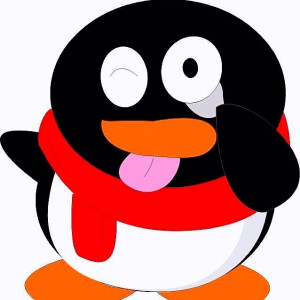 在手机QQ上怎么可以养Q宠企鹅