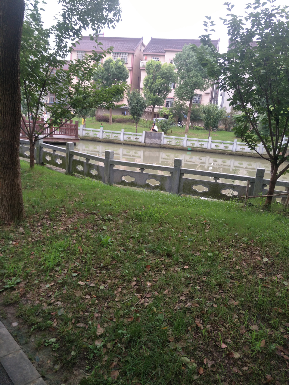 truth什么意思中文