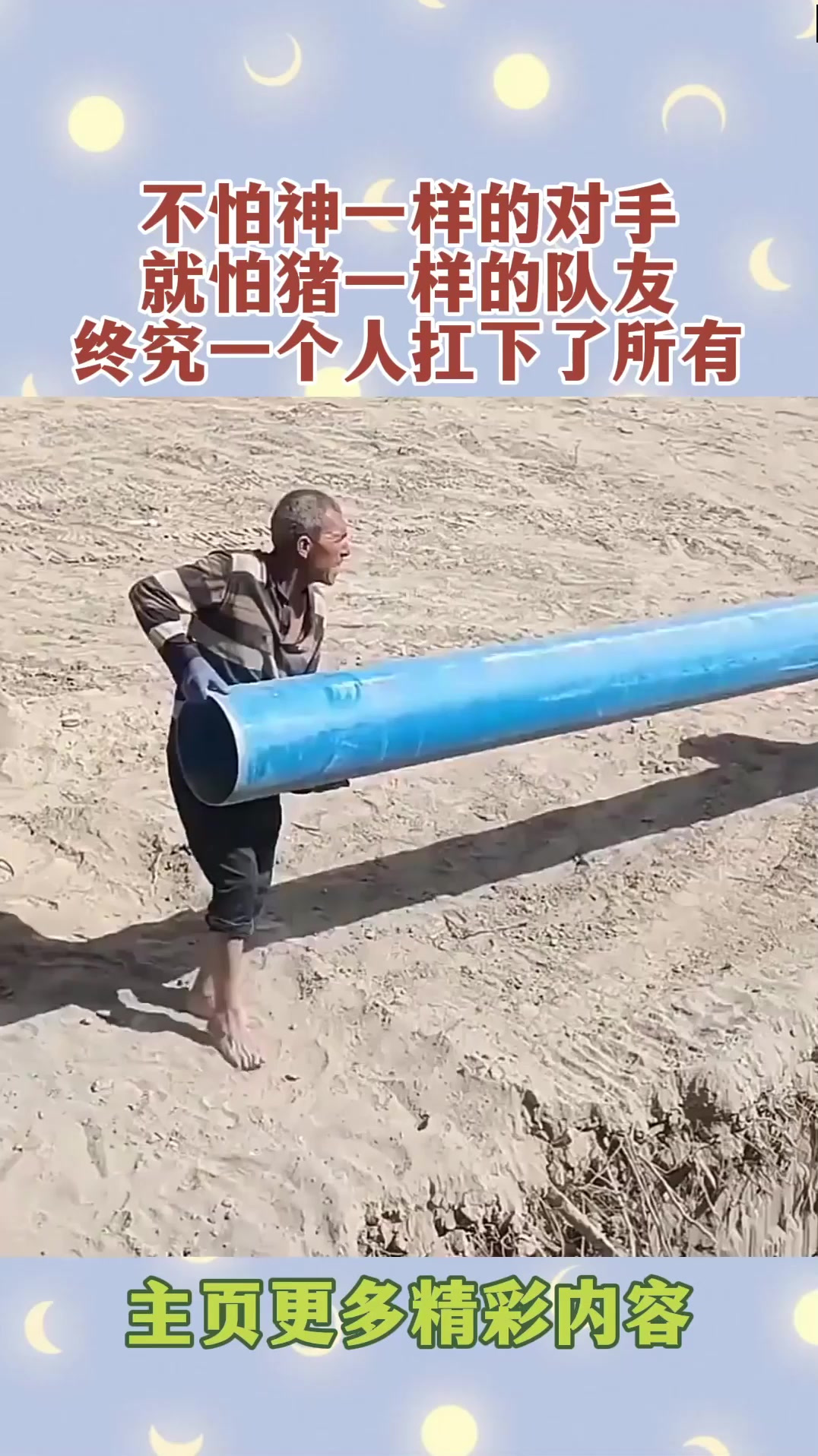 猪一样的队友意思解释及出处