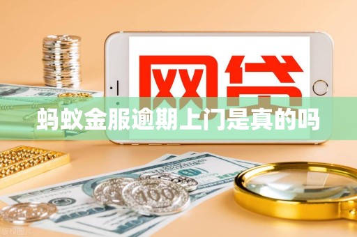 被蚂蚁金服网商贷骗了怎么办,能追回来么