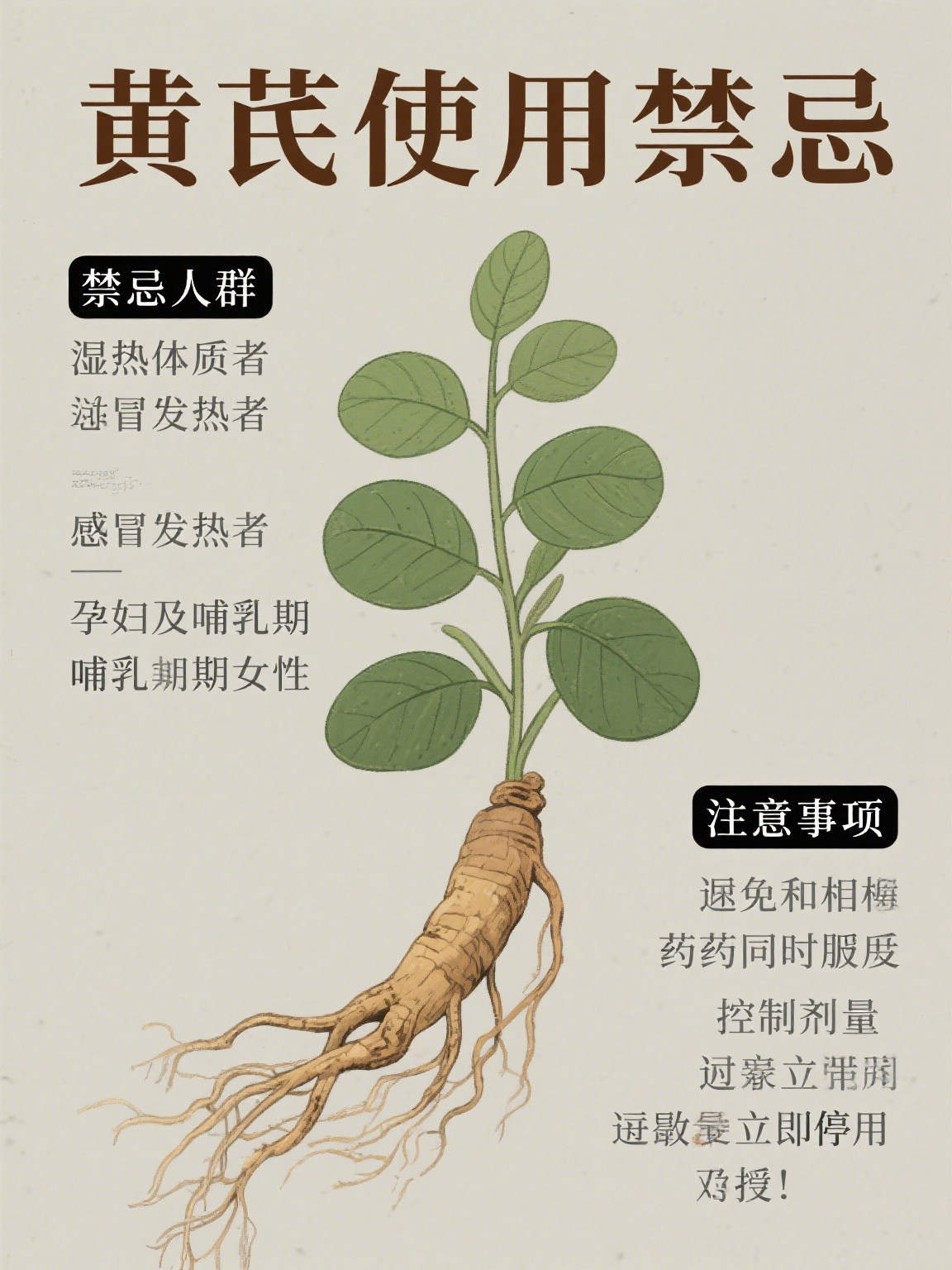 黄芪白术防风的功效与作用及禁忌是什么