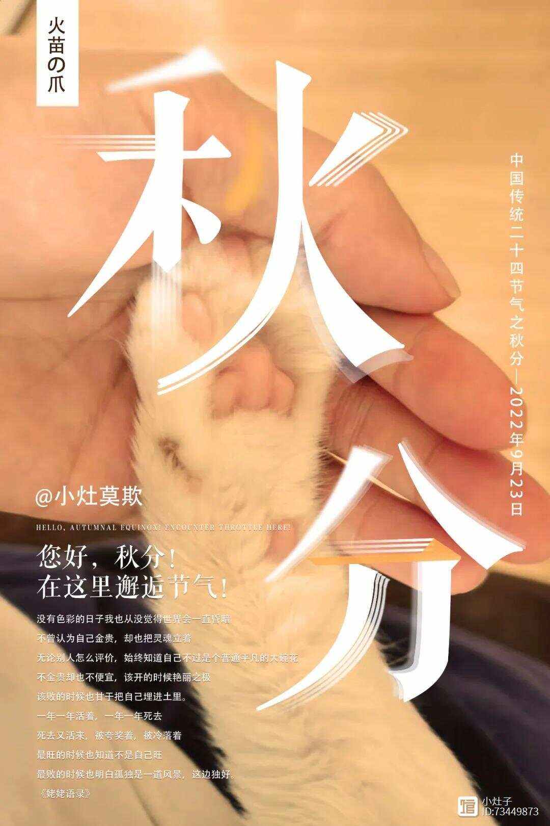 以我酌油知之是什么意思