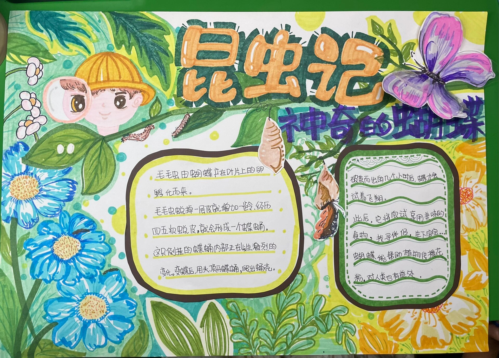 昆虫记的内容介绍50个字