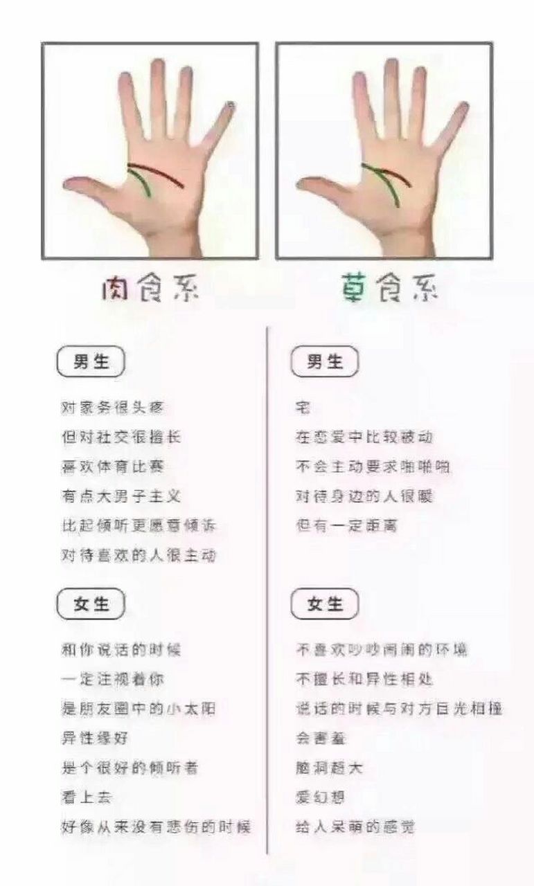 草食系男生是什么意思