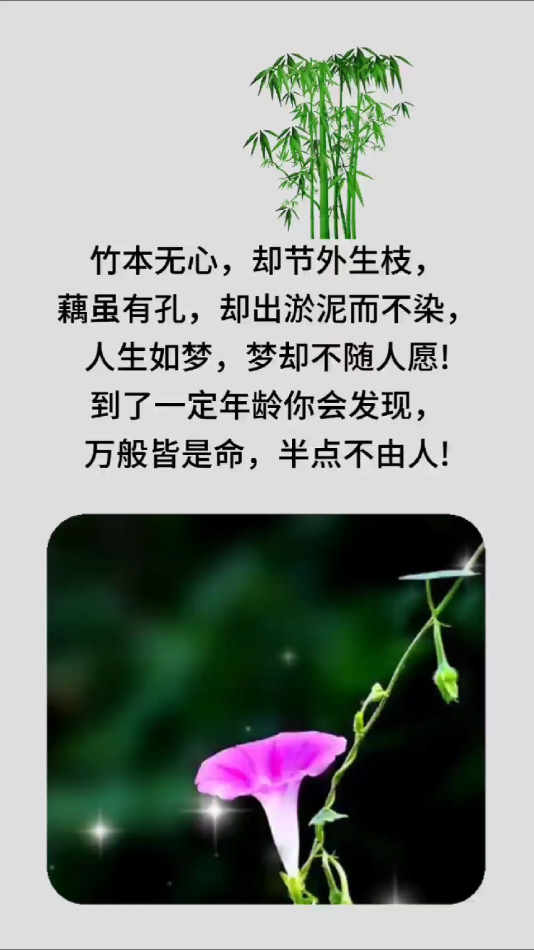 万般皆是命半点不由人是什么意思