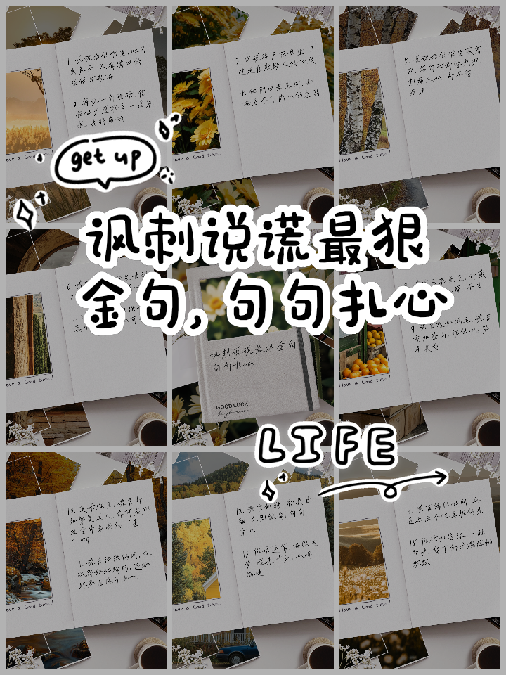 表达一个人虚伪的句子