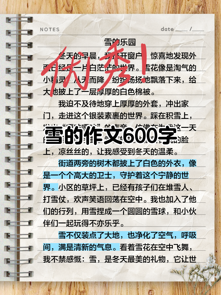 围绕下雪了写一段话范文