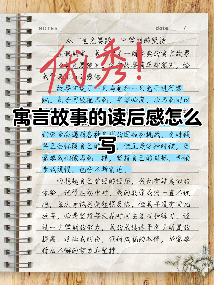 伊索寓言读书心得500字