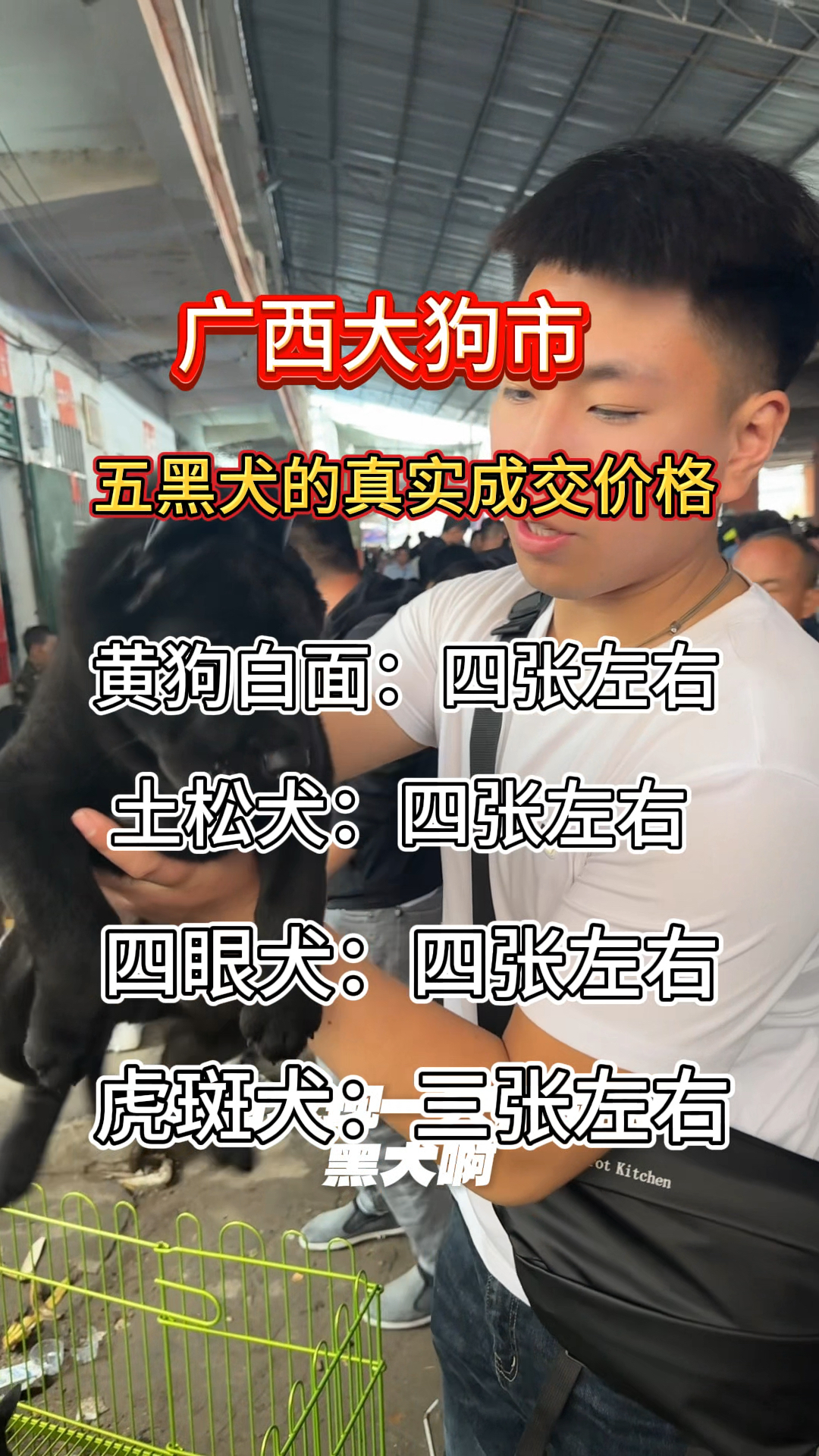 土狗多少钱一只?土狗价格盘点