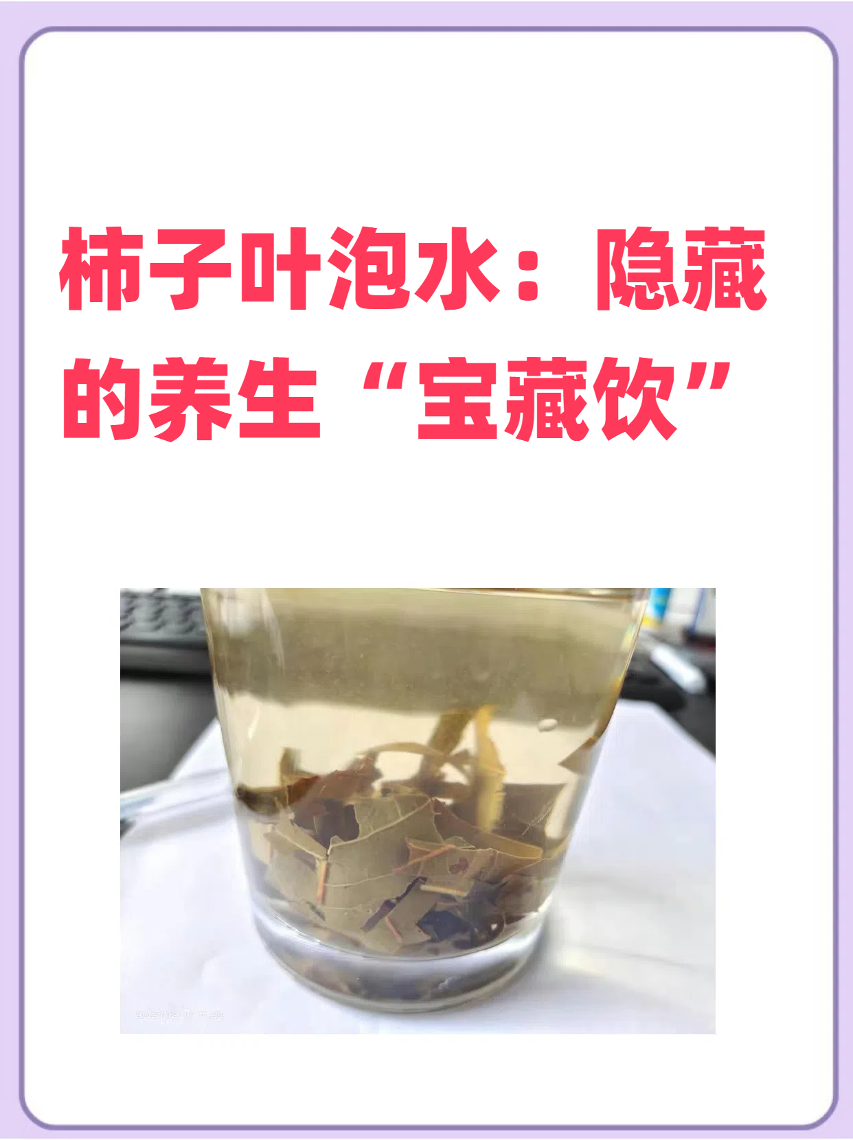 柿子叶泡水喝用处多柿子叶的功效与作用