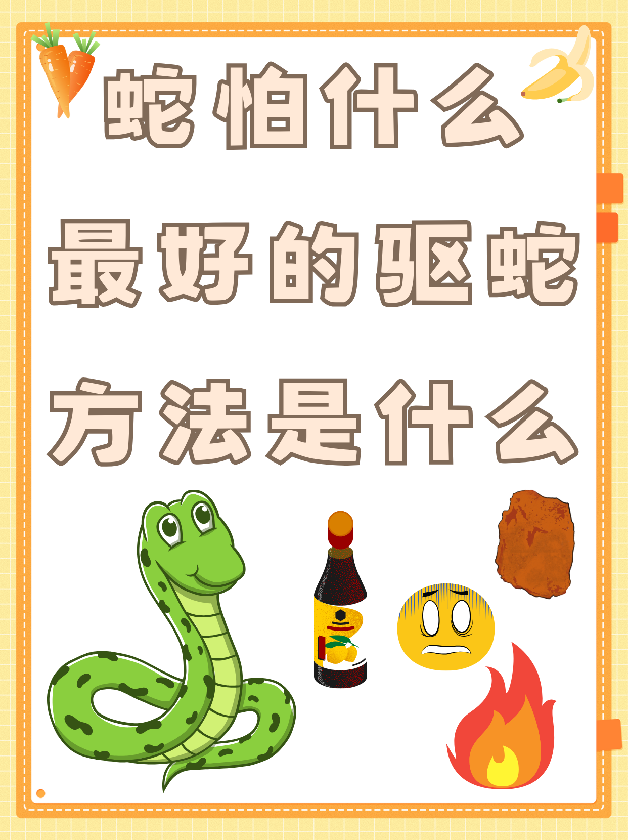 家里家里进蛇有什么寓意