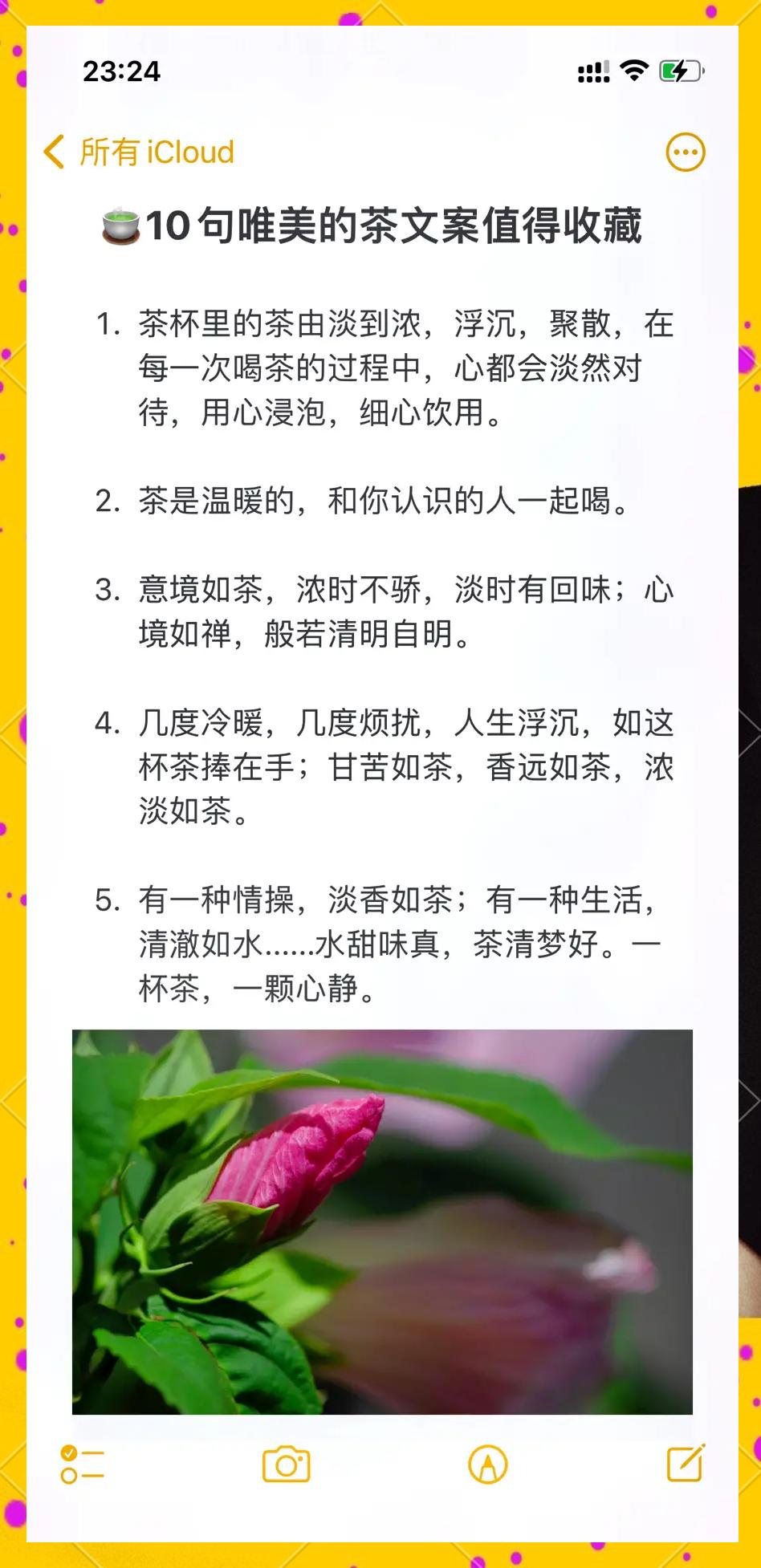 茶中人生感悟精辟句子