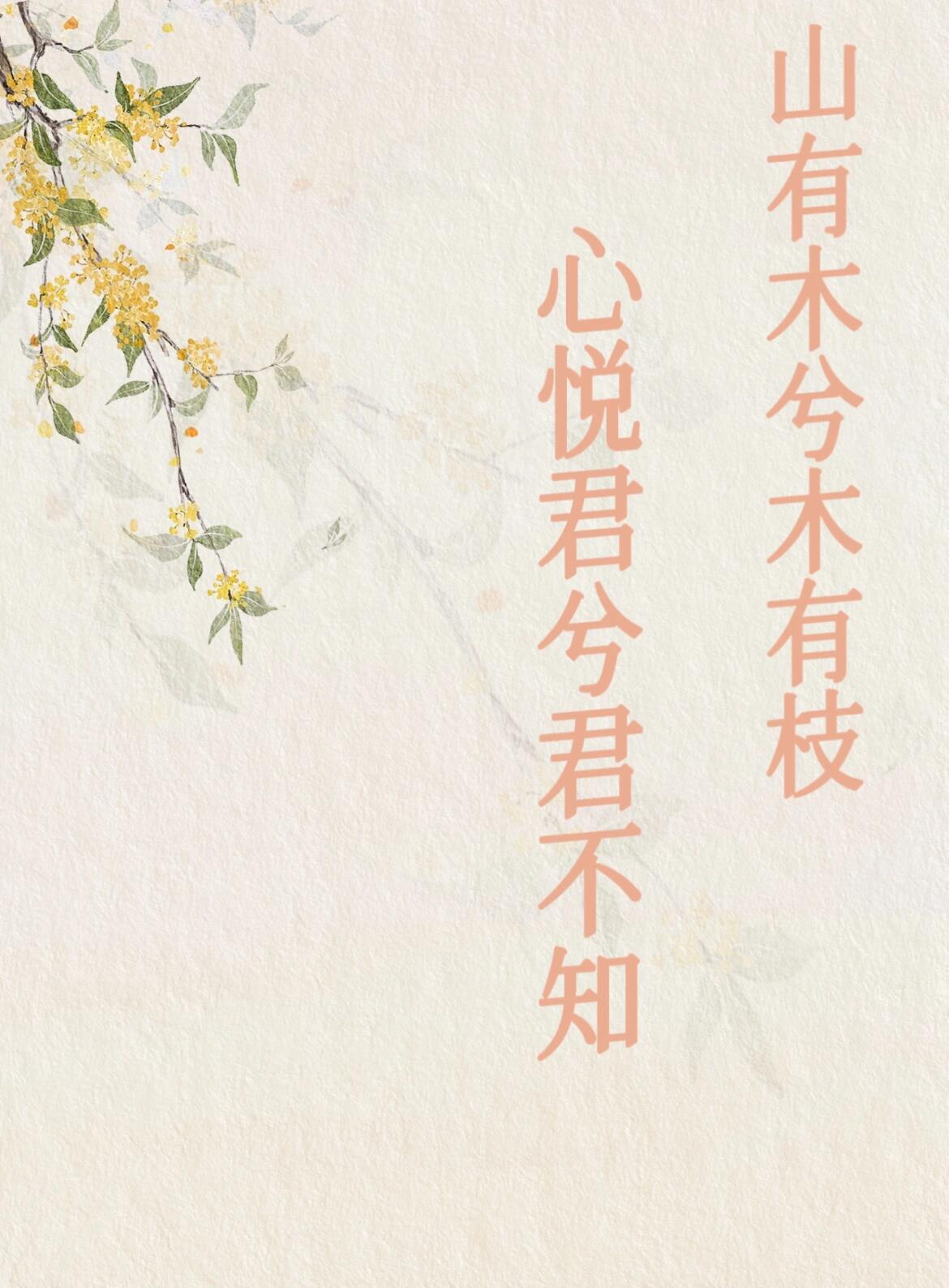 2026年1月4日 第21页