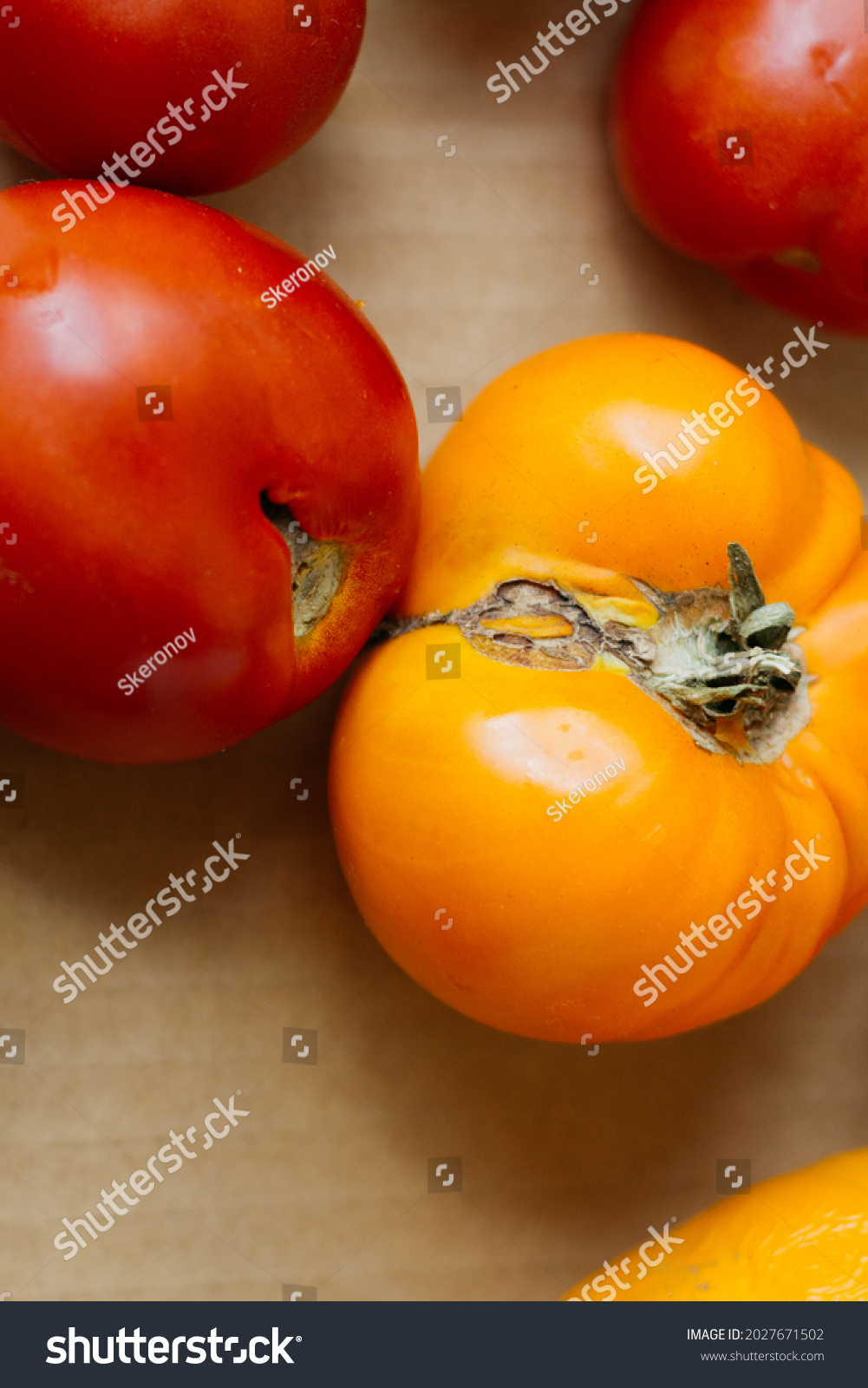 tomatoes是什么意思