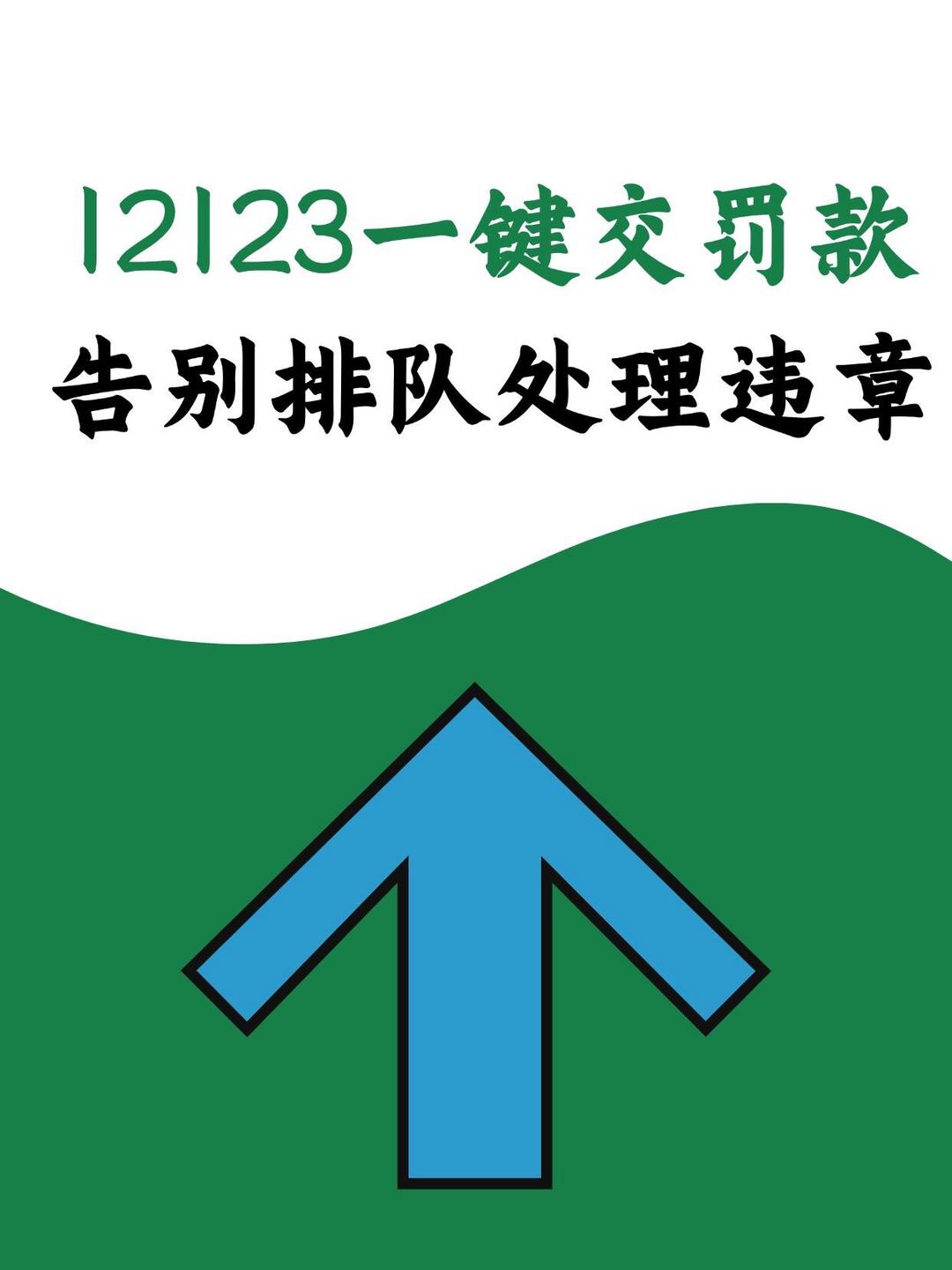 湖南12123交管网怎么进不去
