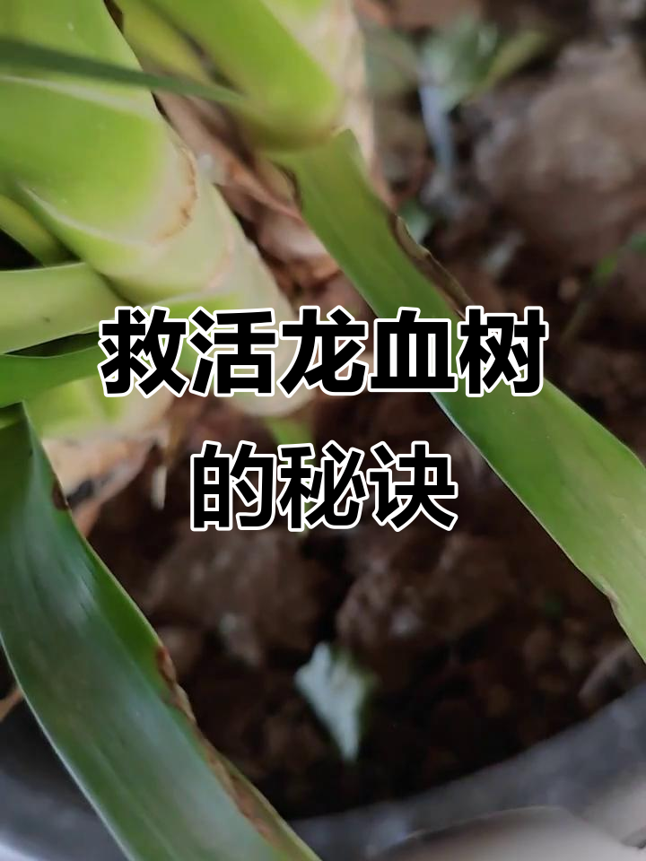 2026年1月4日 第4页