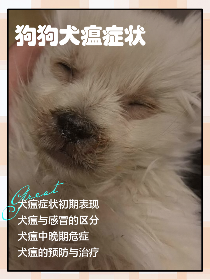 犬瘟热能治好的几率多少