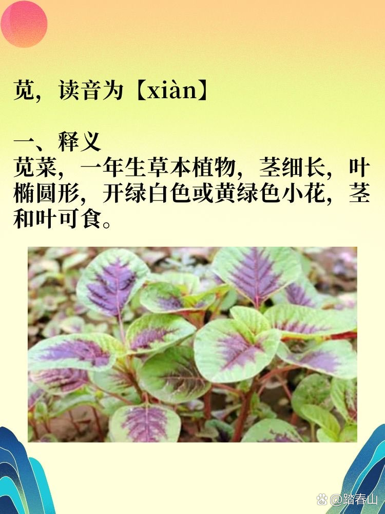 2026年1月5日 第27页