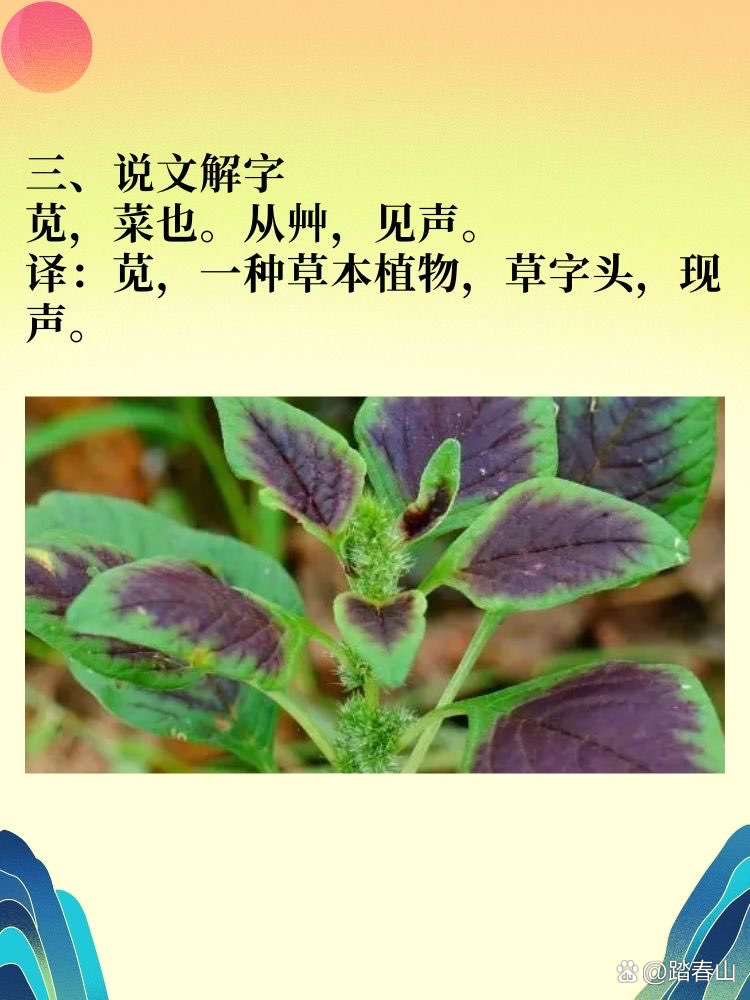 草字头下面一个鸟读什么