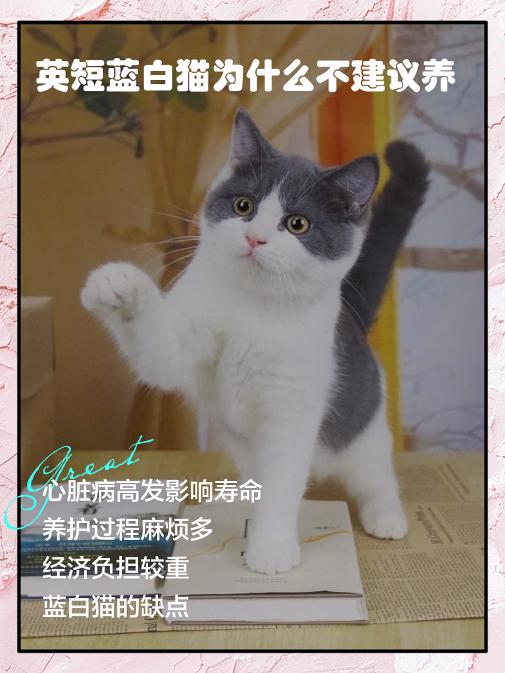 2026年1月5日 第19页