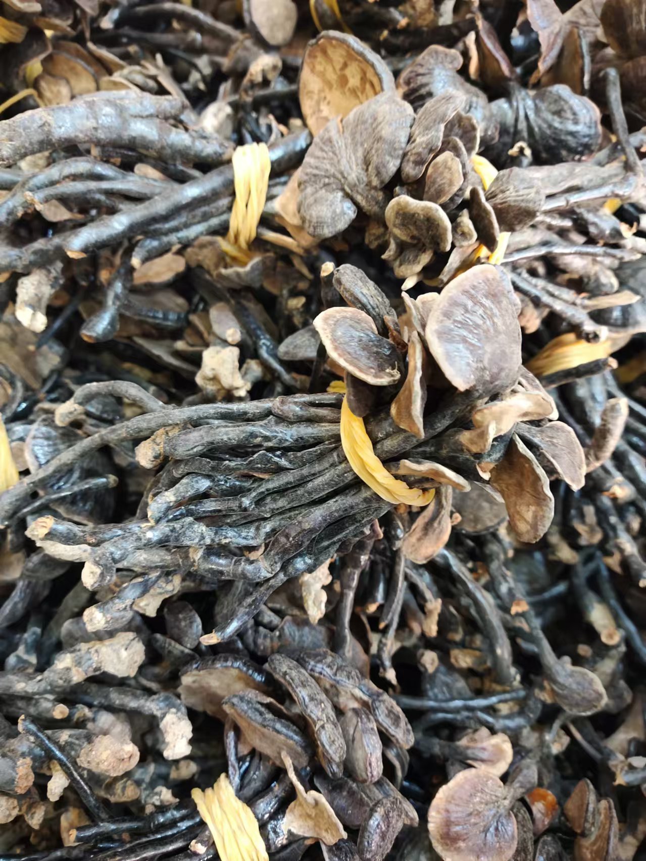 男人喝杜仲雄花功效与禁忌