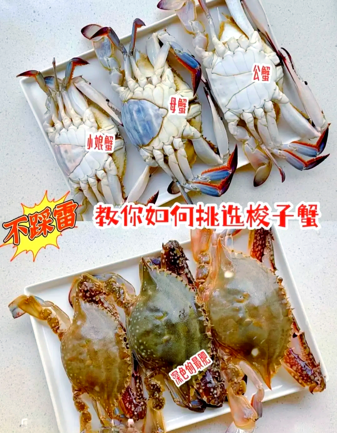 清蒸梭子蟹的做法和步骤