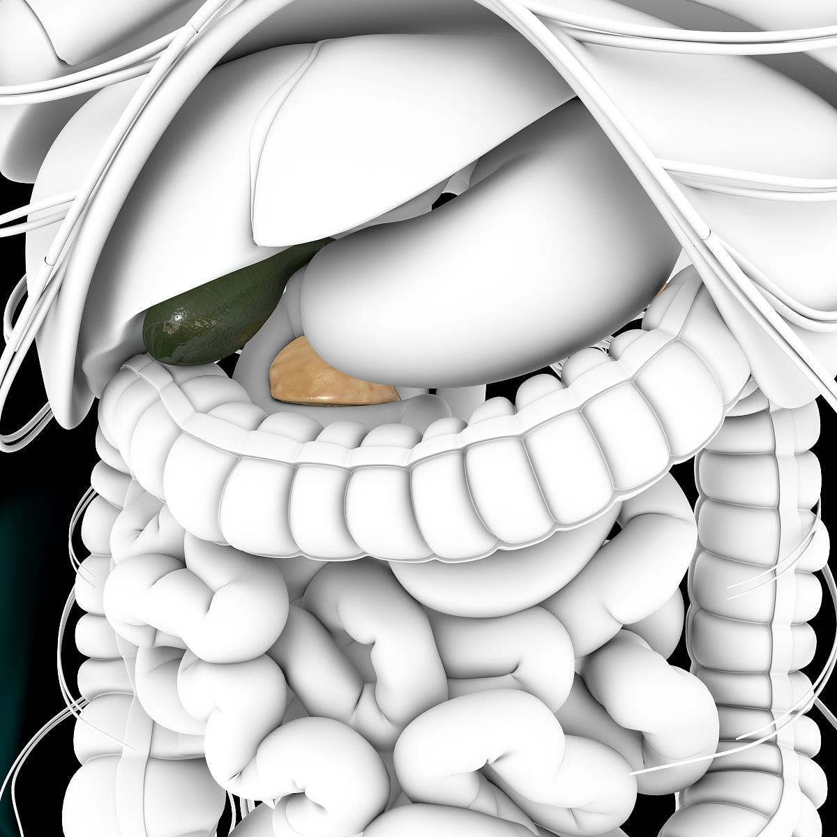 这的是结构这的是的结构是什么