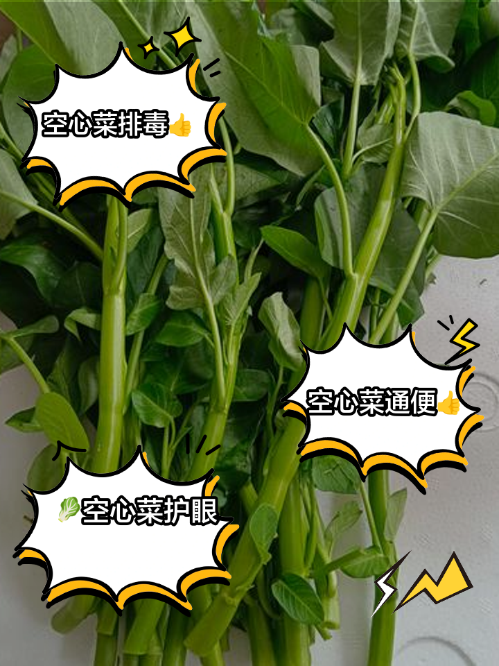 空心菜的饮食禁忌空心菜的功效与作用