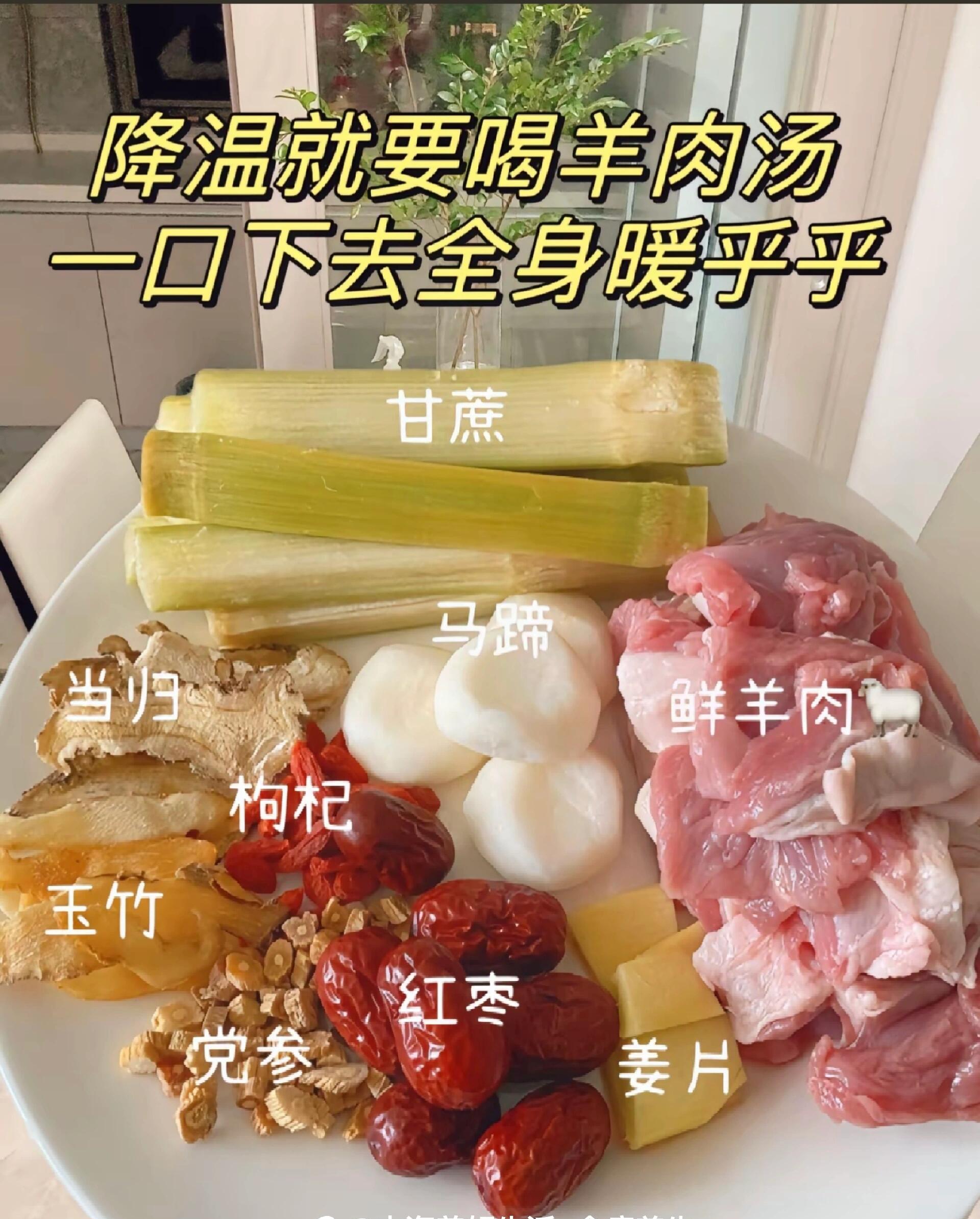 教你家常煮羊肉的正确方法