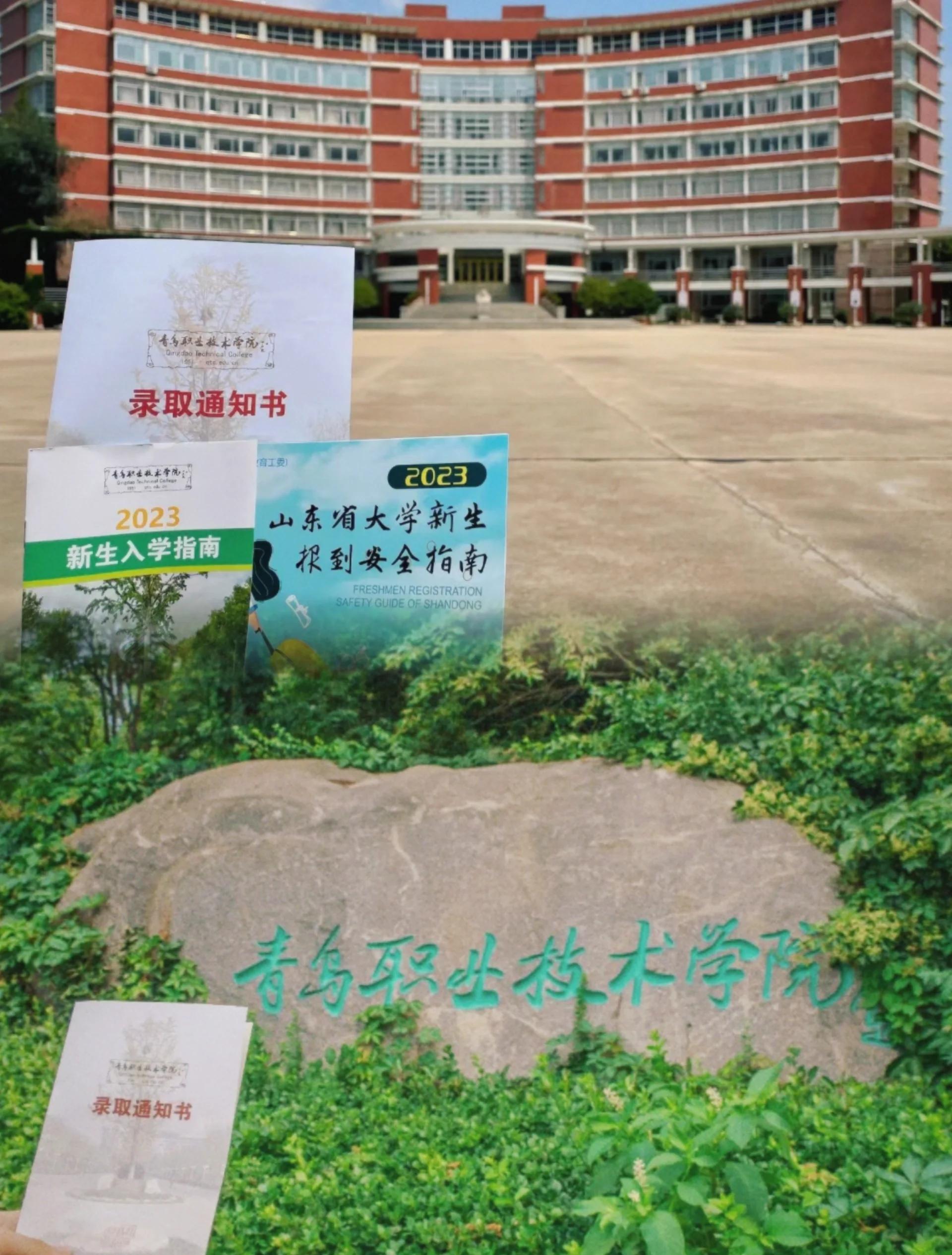 青岛职业技术学院录取分数线