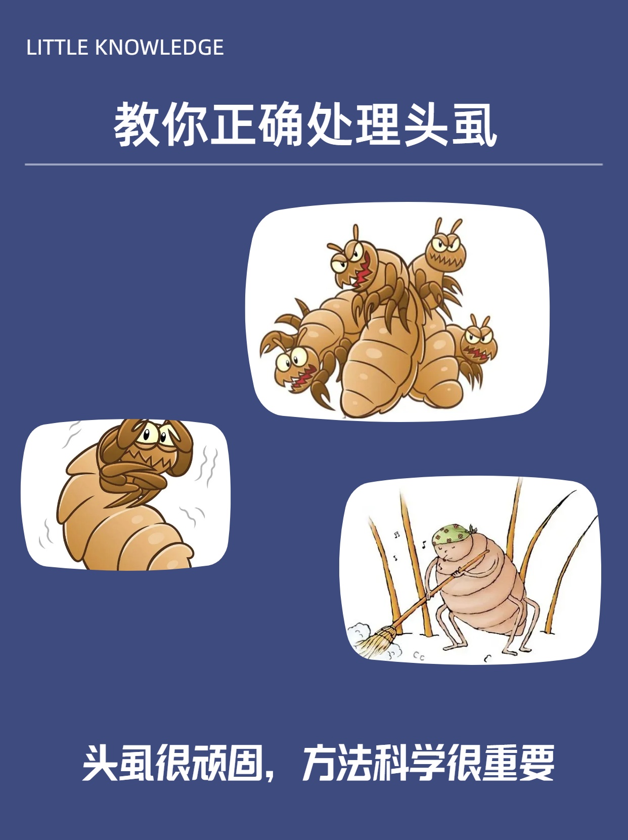 梦见头上有虱子并挤死是什么意思