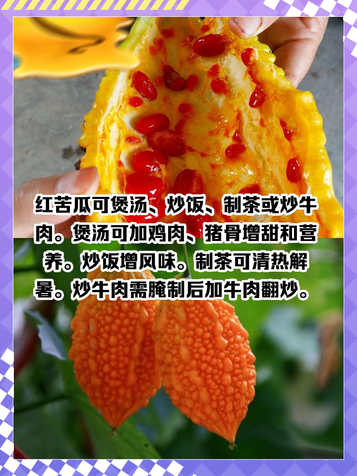 生吃苦瓜有什么好处和坏处