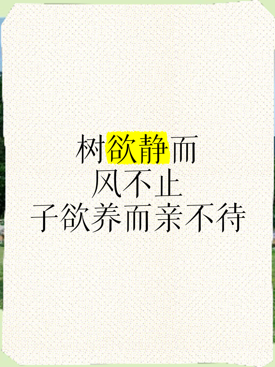 子欲养而亲不待出自哪里