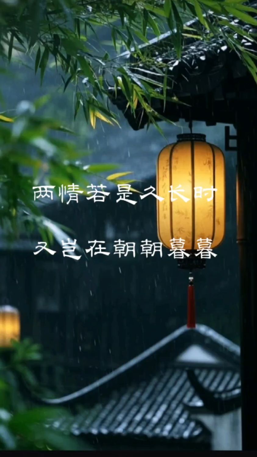 两情若是长久时岂在朝朝暮暮是什么意思