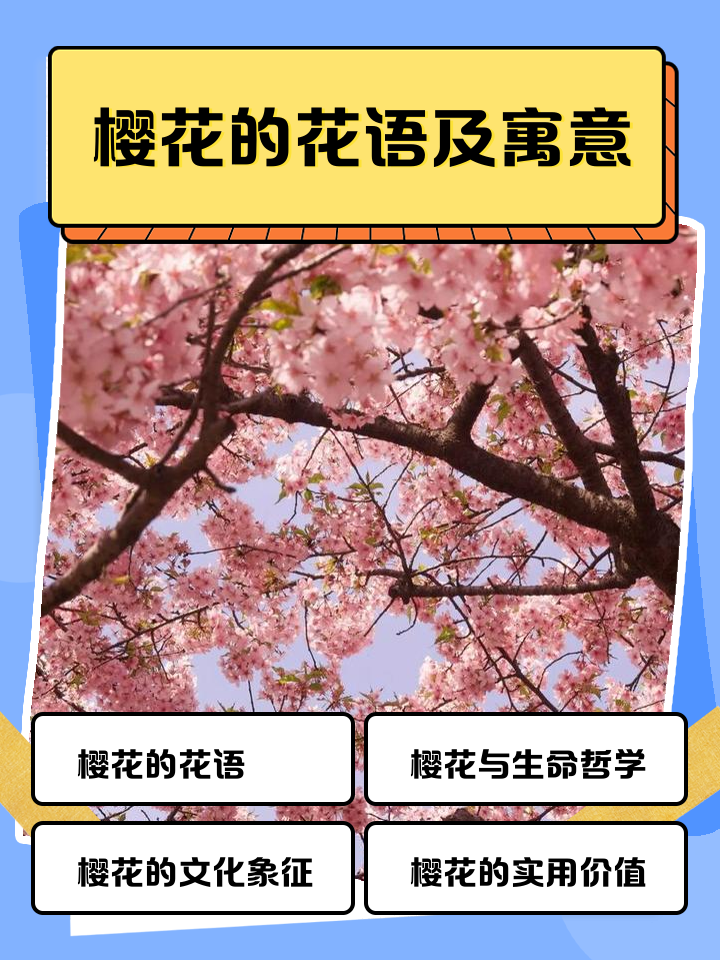 故乡的樱花开了出处是什么