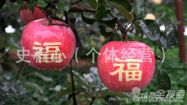 求带果字的两个字的水果