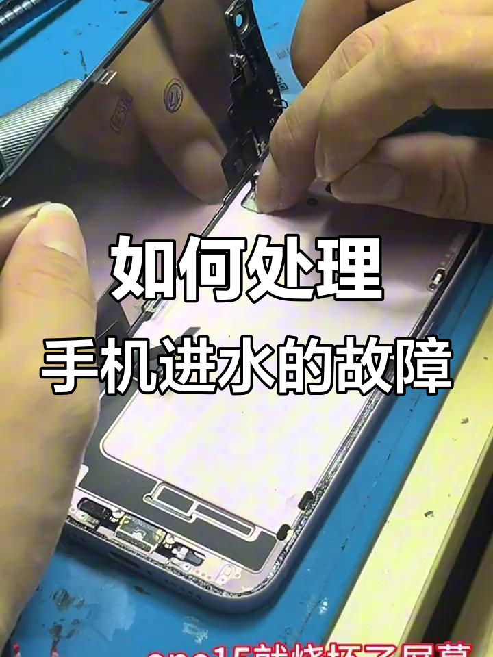 手机进水了修一下要多少钱