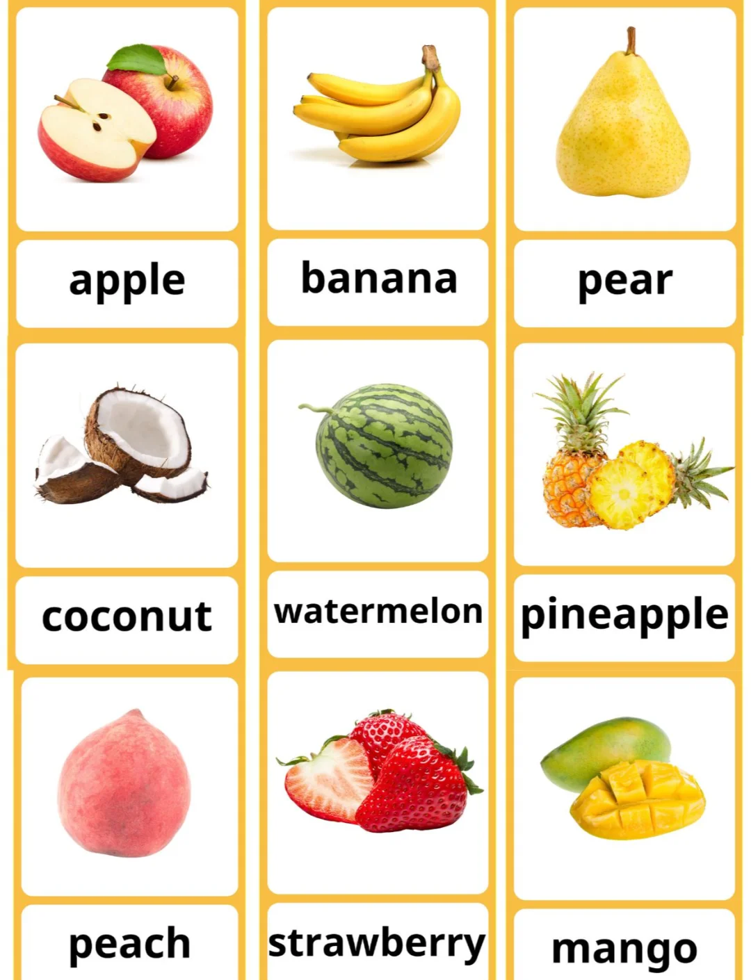 aPPle是什么单词