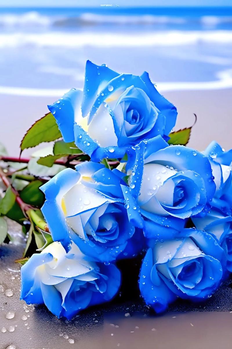 蓝色玫瑰花代表什么意思啊